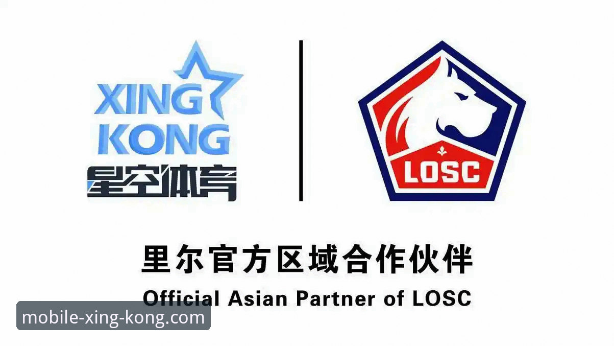 星空体育官方下载最新版深度评测：B3K7专享通道与移动端体验全解析