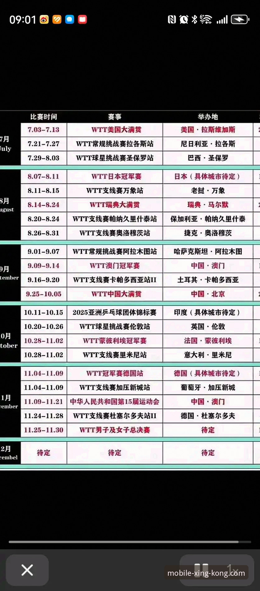 星空体育官网乒乓球赛事深度解析：2026世锦赛女团王艺迪横扫叶伊恬操作教程式观赛指南